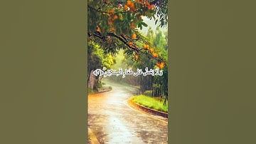 سورة الماعون #القران_الكريم #تلاوة_خاشعة #اكسبلور