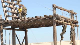 Celebrity Recruit Training - Week 4 Profile