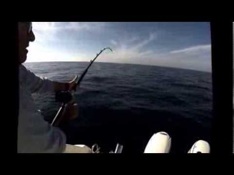 Taranto pesca ricciola traina con vivo