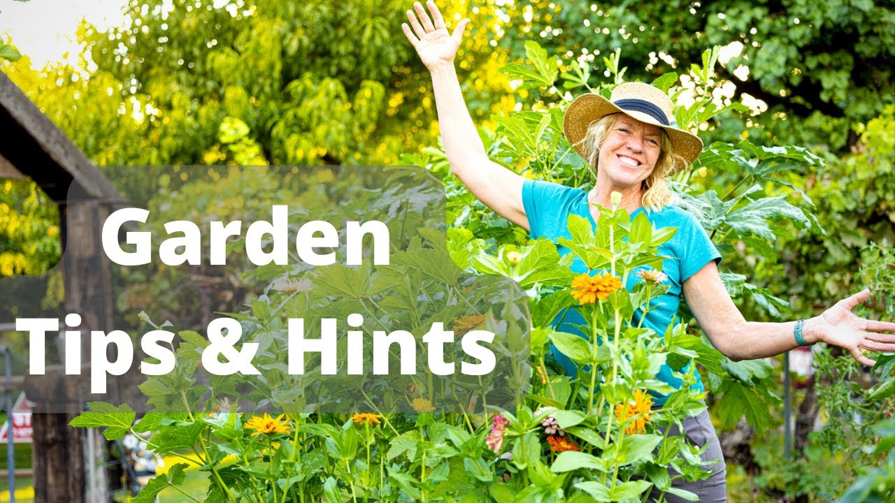 September Garden Tour & Gardening Tips YouTube