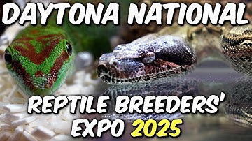 Daytona National Reptile Breeders