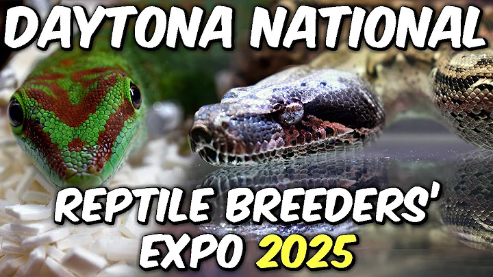 Daytona National Reptile Breeders' Expo 2025!