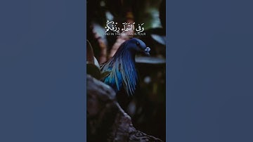 اسلام صبحي | وفي السماء رزقكم وما توعدون | قرآن كريم