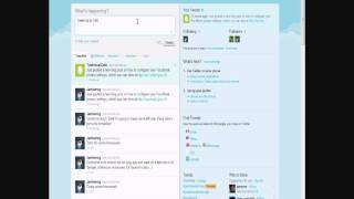 Twitter Overview