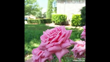 تلاوة سورة الفاتحة بصوت جميل  😘⁦♥️⁩
