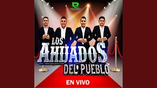 Video thumbnail of "Los Ahijados Del Pueblo - Mi Piquito De Oro"