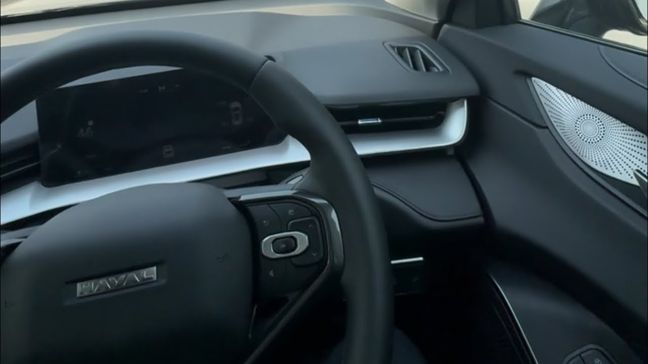 Haval coating ke liye dedi |vlog