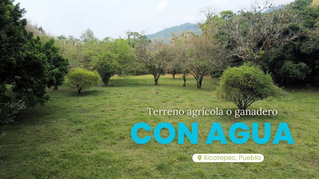 VENTA DE TERRENO AGRÍCOLA  CON AGUA