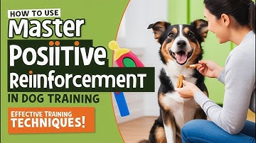 Master Dog Training with Positive Reinforcement!