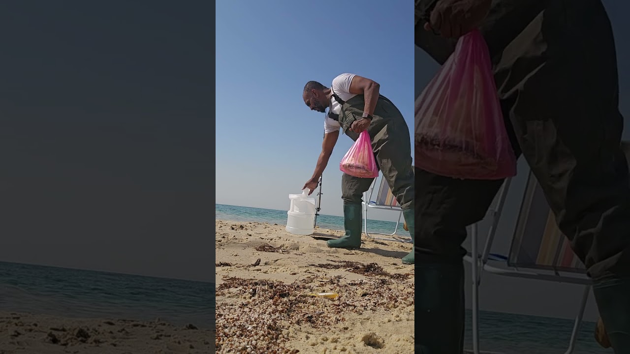 ٢٧ فبراير ٢٠٢٦