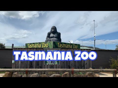 Video: Bagaimana Untuk Melawat Tasmania Wildlife Sanctuary Di Tasmania 