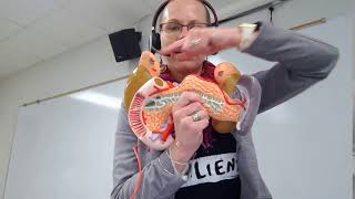 Biology 2020 Lab 3 Quiz Question