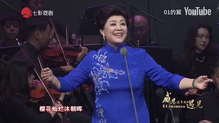 感恩所有的遇見 - 慧音滬劇交響音樂會 - 天天要聞