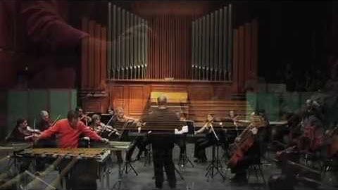 Concerto Pour Vibraphone et Orchestre à Cordes 1º Mouvement (Emmanuel Sejourné)