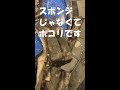 東芝ドラム式洗濯機 TW 127X7の分解クリーニングを行いました 内部のホコリが気持ちいいほど取れて感動 乾燥機能の復活や排水エラーの改善につながります 東芝ドラム式洗濯機ほこり Shorts 東芝ドラム式洗濯機 TW 127X7の分解クリーニングを行いました 内部のホコリが気持ちいいほど取れて感動 乾燥機能の復活や排水エラーの改善につながります 東芝ドラム式洗濯機ほこり Shorts