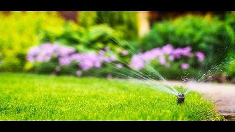 Raspberry Pi Automated Plant Watering and Lighting with Website (Python+Flask)#Shorts