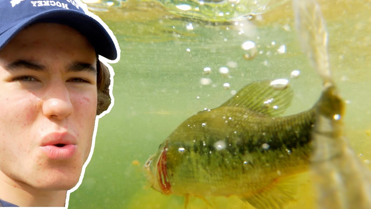 CRAZY Underwater footage of Fish Eating Bait!!!! - YouTube