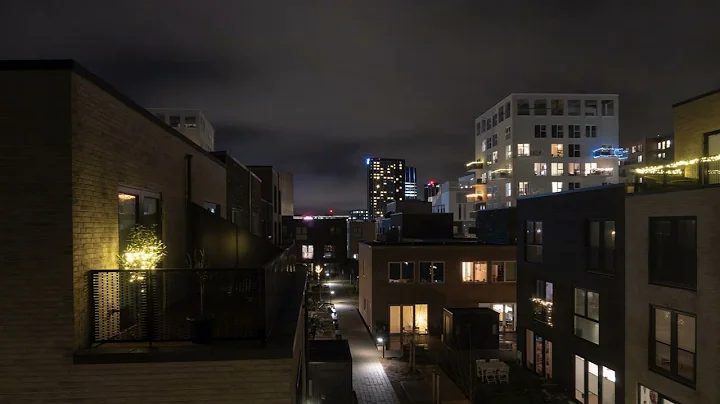 Pexels Videos 2229907