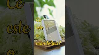 Ce este o mandolina? Cea mai utila (si neinteleasa ) ustensila de bucatarie: Mandolina