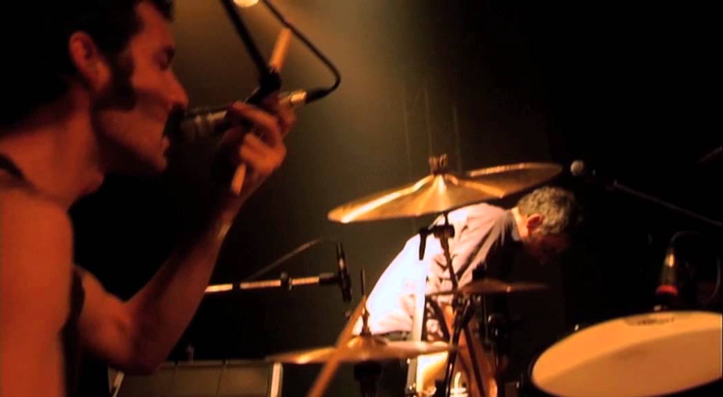 No Coward - WE INSIST!