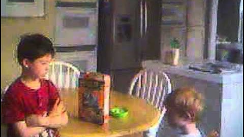 NETGEAR VueZone Sample Video - Brotherly Love (320x240)