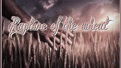 Rapture(part 2) The 3 harvest in the birthdays of Elijah, Enoch and Noah typologies...