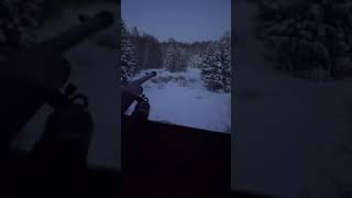 Охота на оленя с вышки
