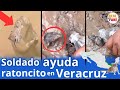 Militar en Poza Rica ofrece agua a ratoncito cubierto en lodo de las inundaciones #mexico #noticias