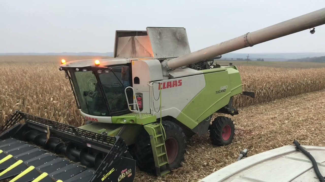 Комбайн CLAAS Tucano 580 і Olimac Drago GT. Збирання урожаю кукурудзи 2021 