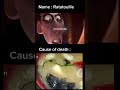 Ratatouille nooo 😭 #ratatouille #MikoG