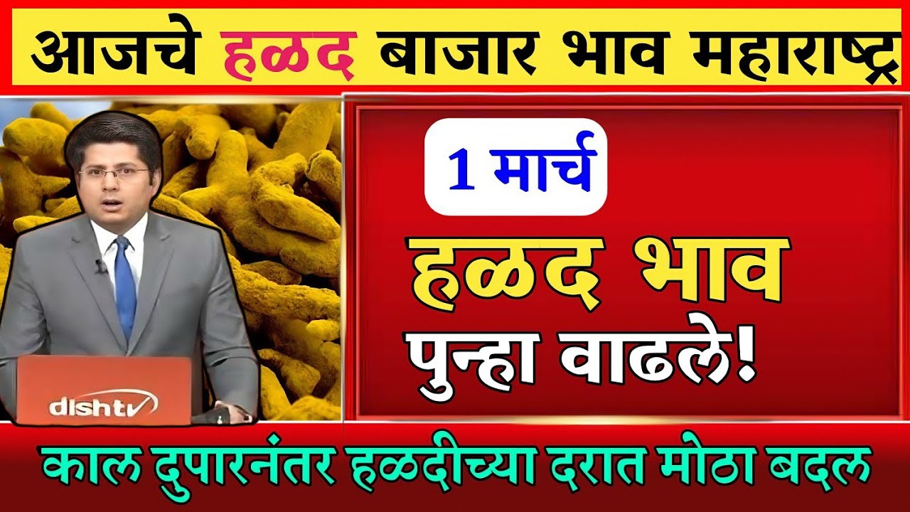 हळद बाजार भाव वाढले 01 मार्च 2026 / हळद बाजार भाव / वसमत हळद भाव #haldi #halad_bhav_today