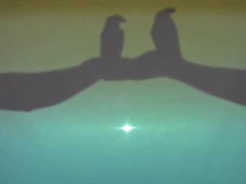 Capa de Magicplay 그림자공연, 그림자쇼, 그림자마술, Shadow art
