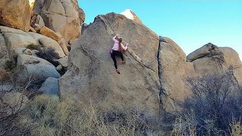 Steam Train* 🚂💨 (V2) Flash - Joshua Tree