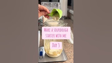 How to Make a Sourdough Starter: Day 3 #sourdough #sourdoughstarter #tutorial #shorts