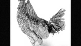 Chicken Techno