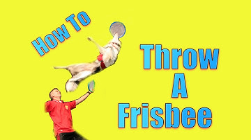 A Revolutionary Way to Throw a Frisbee to your Dog