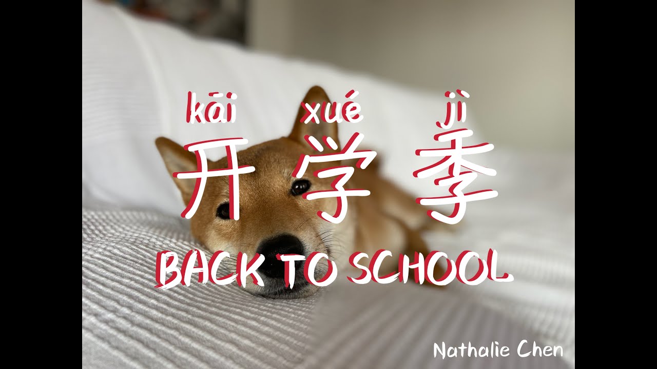 [emlyon business school] #vlog1 // back to school