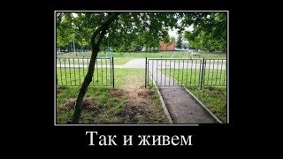 Лучшие Приколы  2019. Приколы Жизни Со Всех Соц Сетей