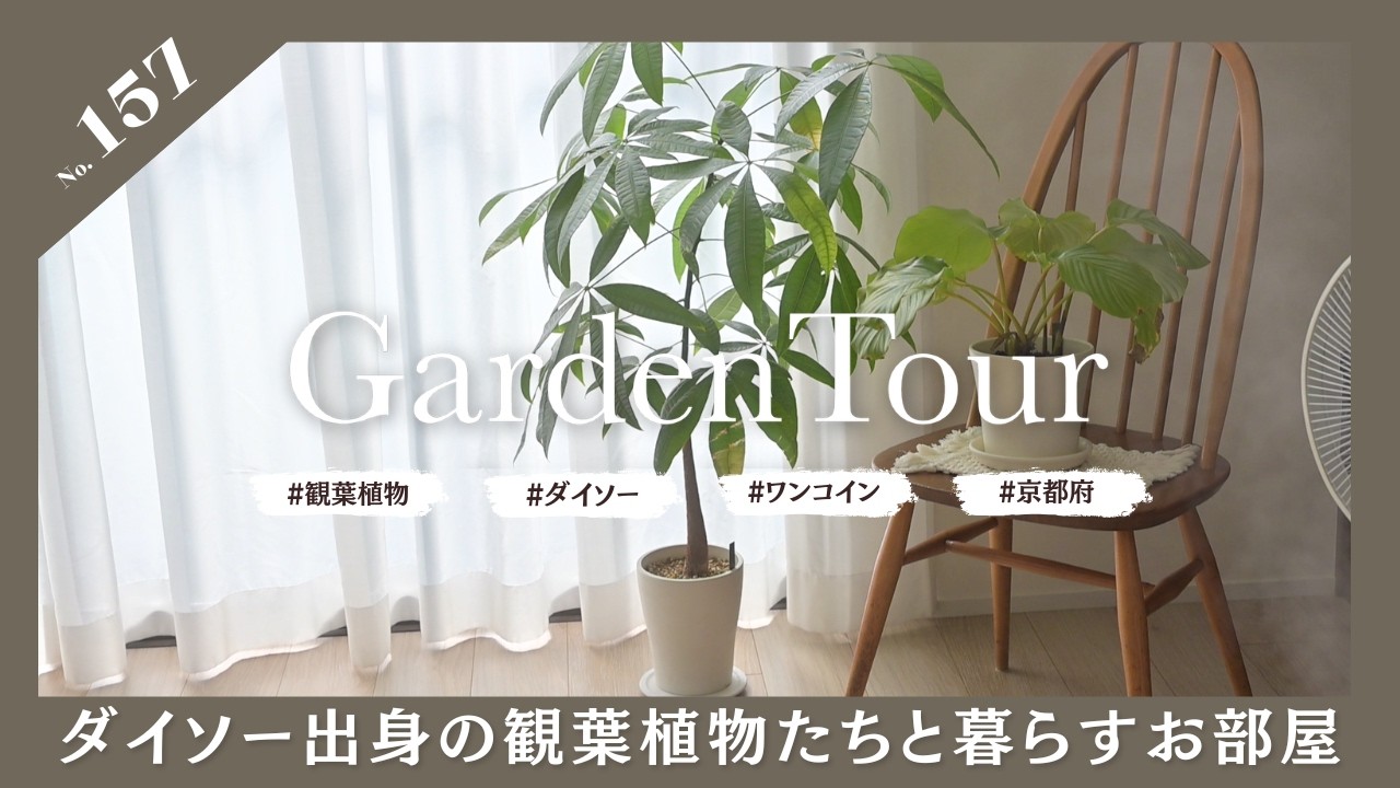 ?Garden Tour?157：小さな苗から育てる喜び、ダイソー出身の観葉植物 