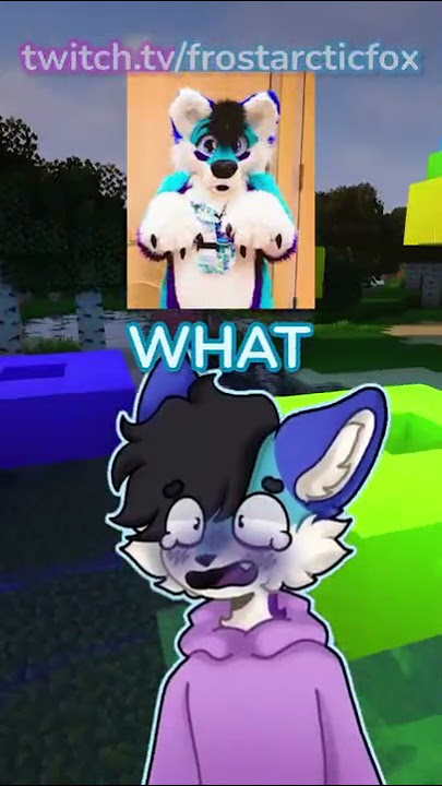 Minecraft I’m a FURRY? 😾