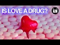 Is love a drug? | Anders Sandberg, Ella Whelan, Rupert Sheldrake