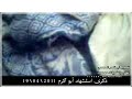 قتلوك يا غالي قتلوك الله يرحمك ياأبو اكرم قتلوك يا غالي قتلوك الله يرحمك ياأبو اكرم