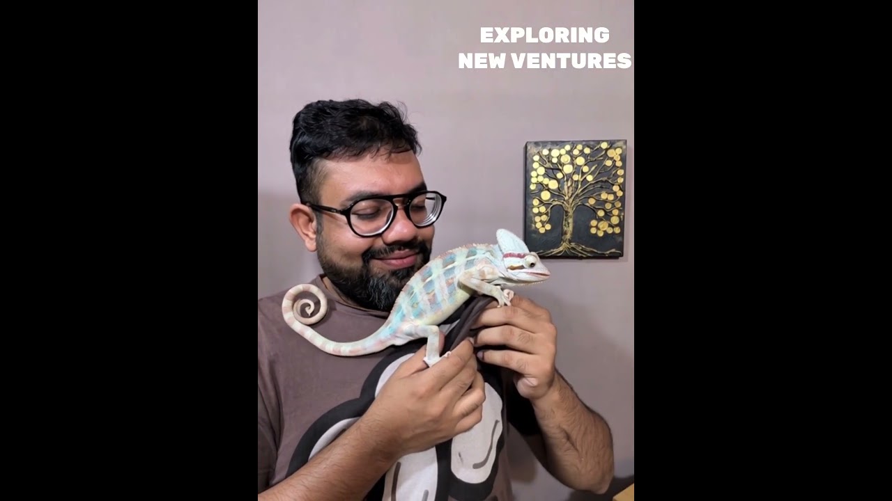 Weekend Things to Do