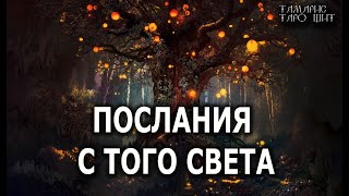 Послания С Того Света💯🔥 Гадание  Таро Онлайн