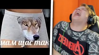 ПЯТЁРКА СМОТРИТ ЦИТАТЫ ВОЛКА ИЗ ТИКТОКА | МУДРОСТЬ ВОЛКА | ПОДБОРКА TIKTOK