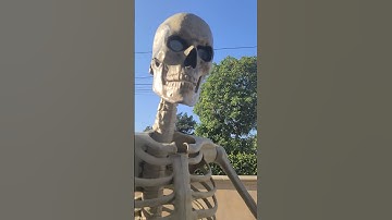 8ft Bestbuy skeleton with life eyes