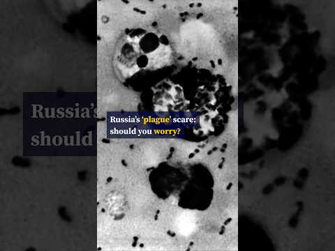Russia’s ‘plague’ scare: should you worry?