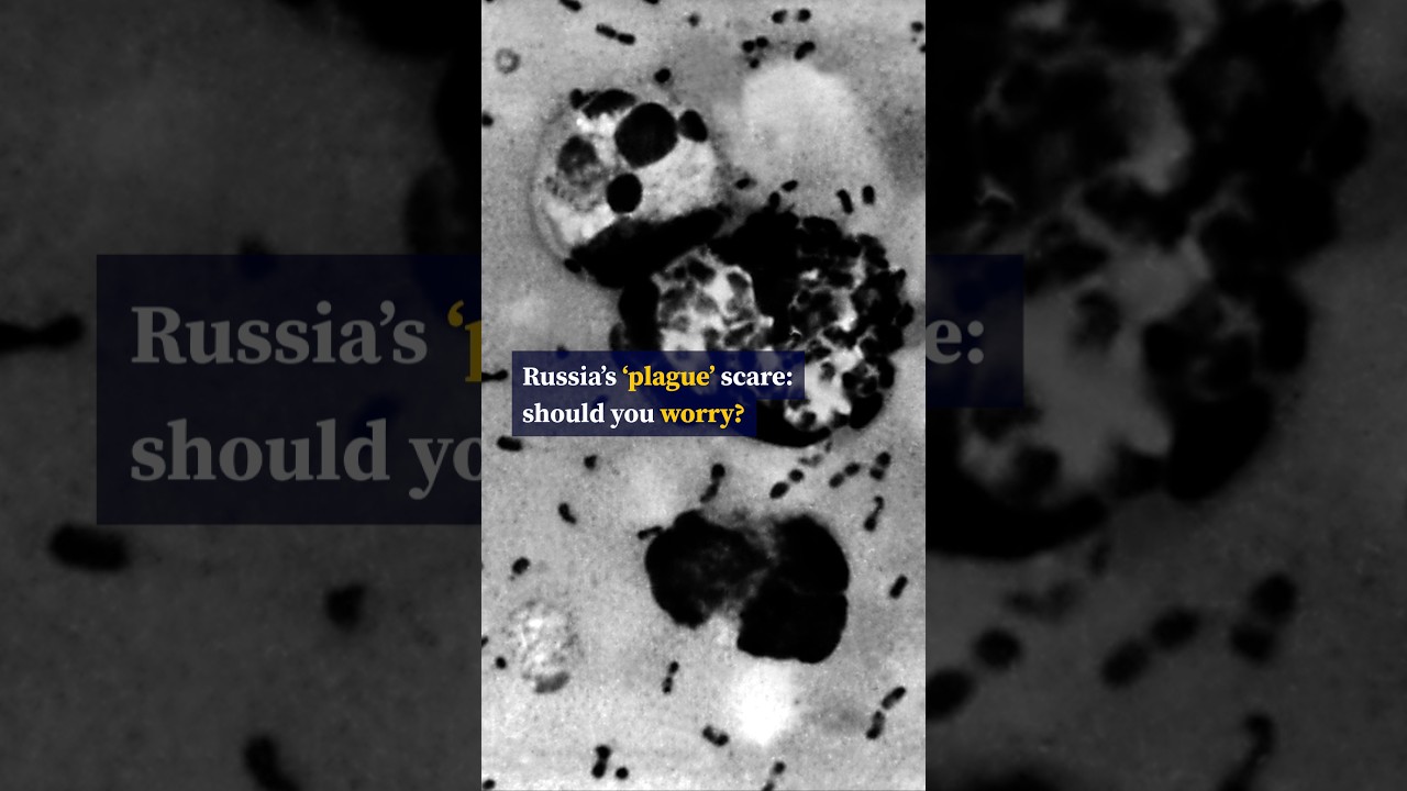 Should you be worried about Russia’s ‘plague’ scare?