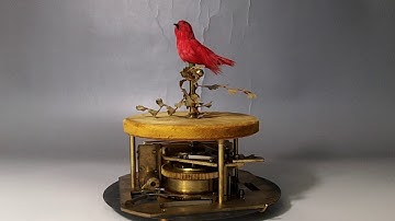 French Bontem Singing Bird Cage
