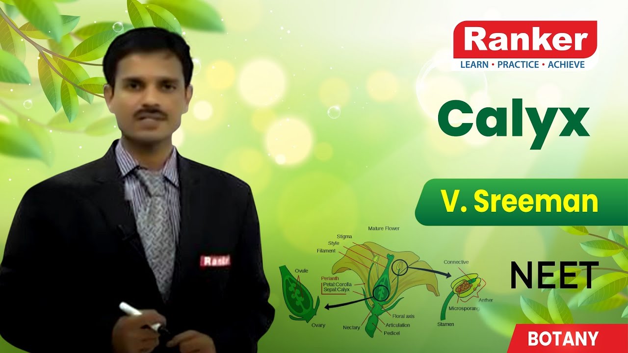 Structural Organization in Plants| Flower | Calyx | Botany | V. Sreeman | Rankers Learning